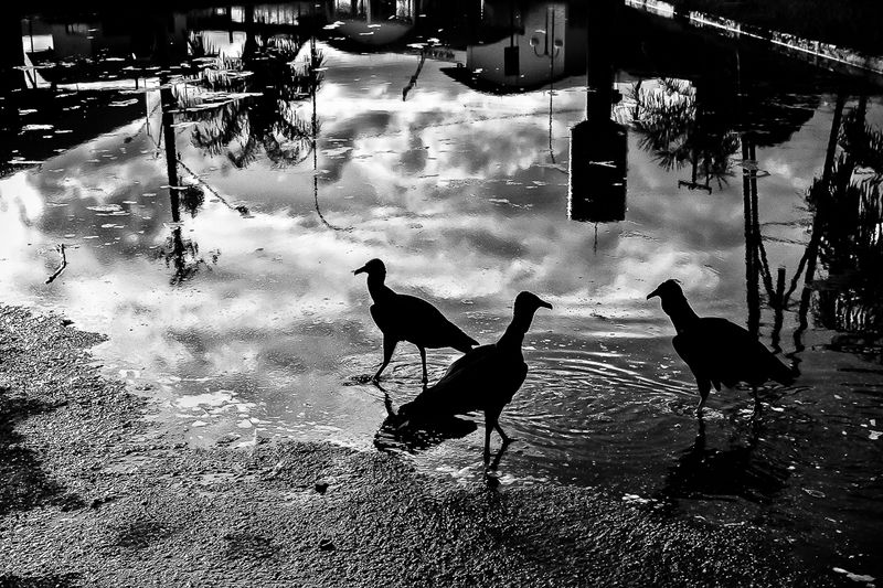 © Saulo De Sousa - Image from the Amazonicidade photography project