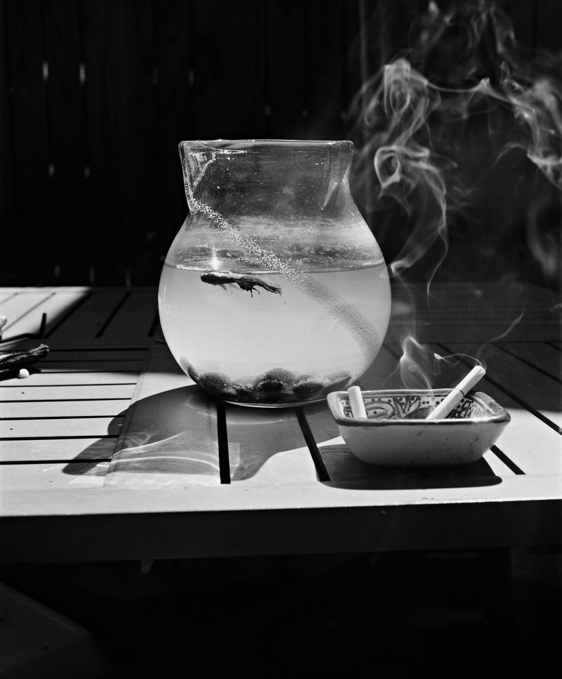 © Matt Eich - RIP Jack Jr., Charlottesville, Virginia. 2016.