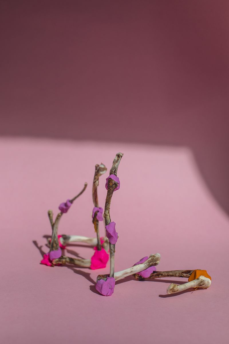© Kaja Rata - Image from the Claws photography project
