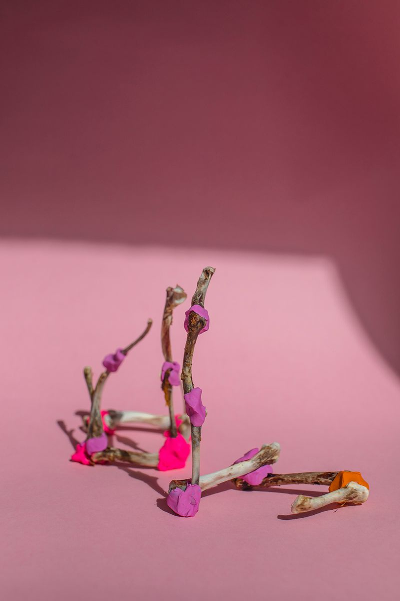 © Kaja Rata - Image from the Claws photography project