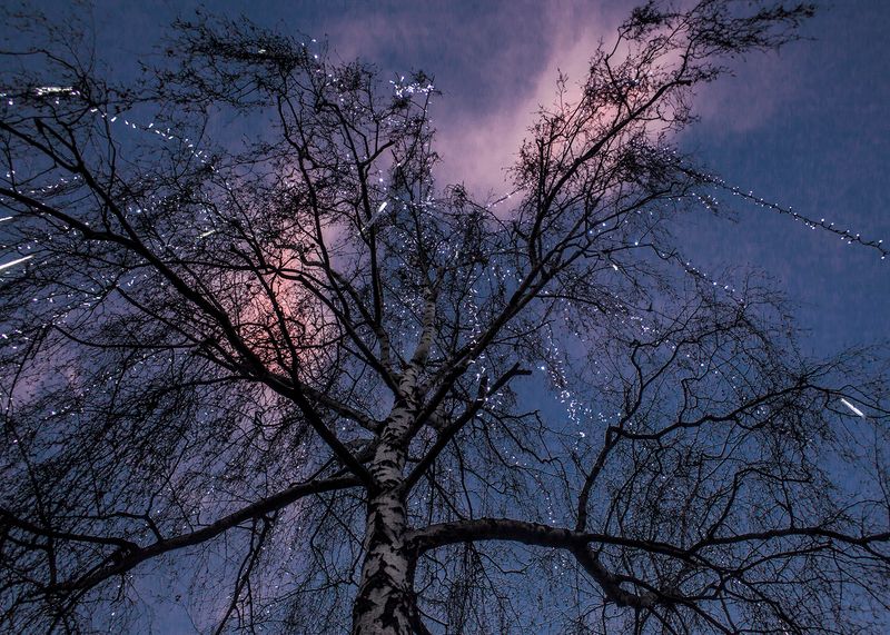 © Kaja Rata - Image from the kajnikaj photography project