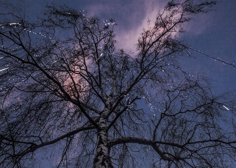 © Kaja Rata - Image from the kajnikaj photography project