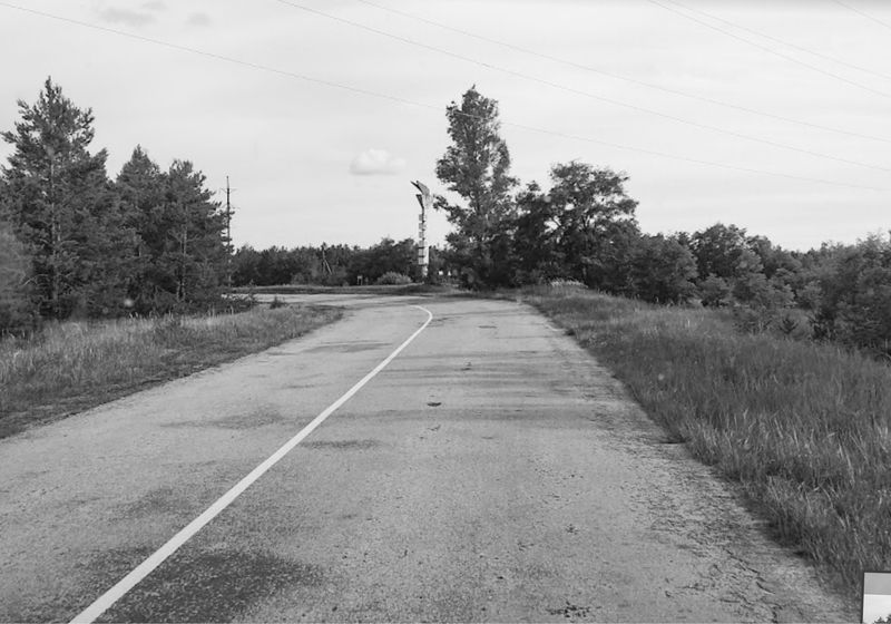 © Katja Stuke - Chernobyl_RedForest_2019_Mar_30_2022