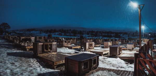 © Michele Palazzo - Image from the 300 Dogs photography project