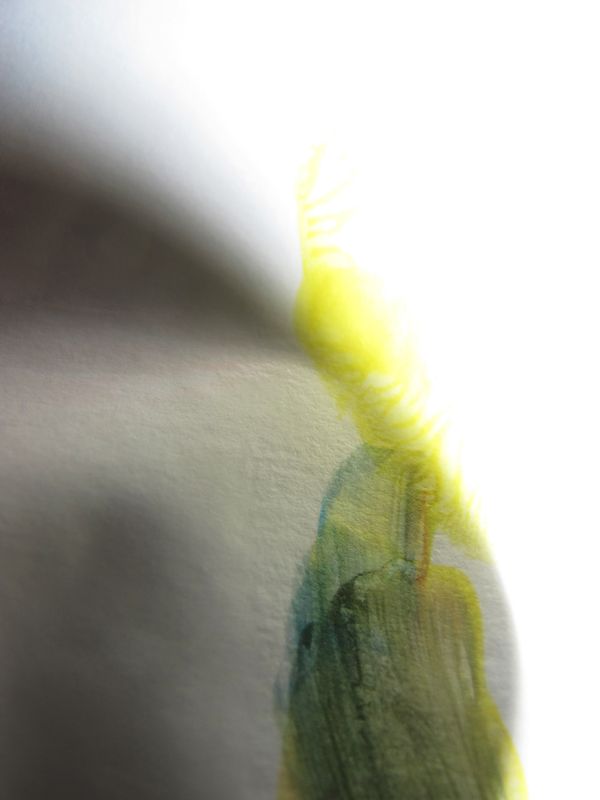 © Alpha Project by Pamela Piscicelli & Juliette Wayenberg - Image from the Alpha photography project