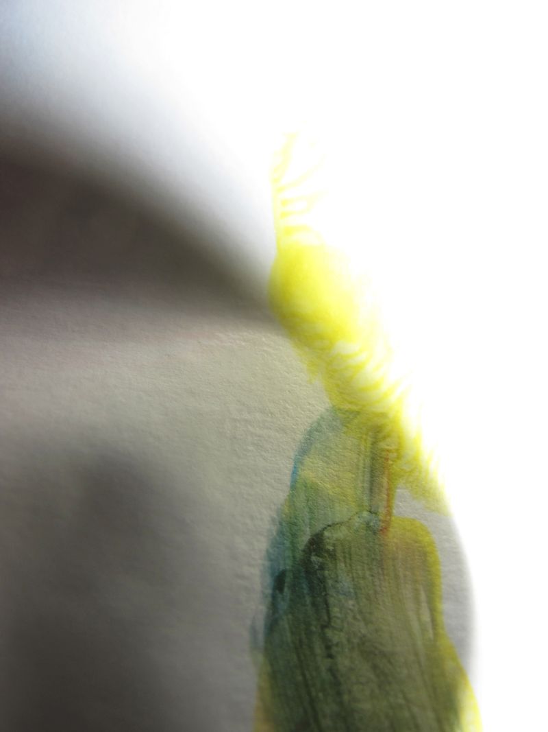 © Alpha Project by Pamela Piscicelli & Juliette Wayenberg - Image from the Alpha photography project