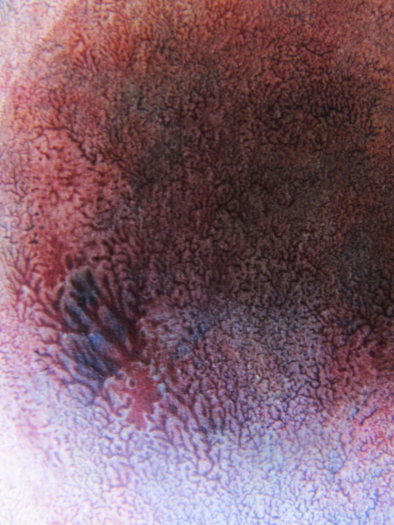 © Alpha Project by Pamela Piscicelli & Juliette Wayenberg - Image from the Alpha photography project