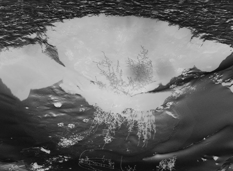 © Alpha Project by Pamela Piscicelli & Juliette Wayenberg - Image from the Alpha photography project