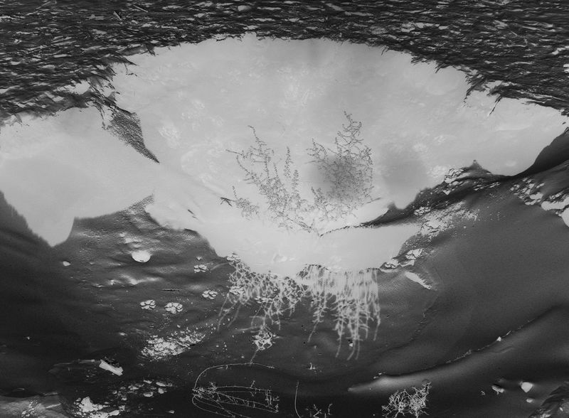 © Alpha Project by Pamela Piscicelli & Juliette Wayenberg - Image from the Alpha photography project