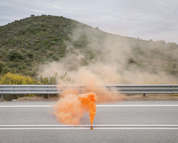 © Alessio Cabras - Image from the Eucalyptus photography project