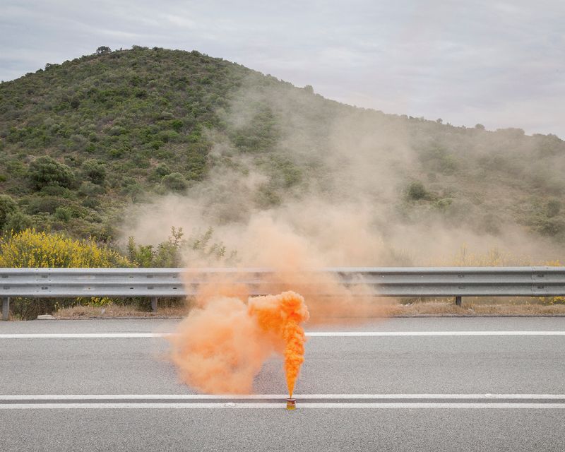 © Alessio Cabras - Image from the Eucalyptus photography project