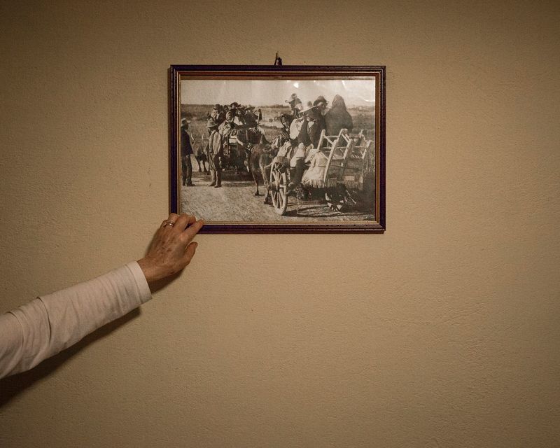 © Alessio Cabras - Image from the Eucalyptus photography project