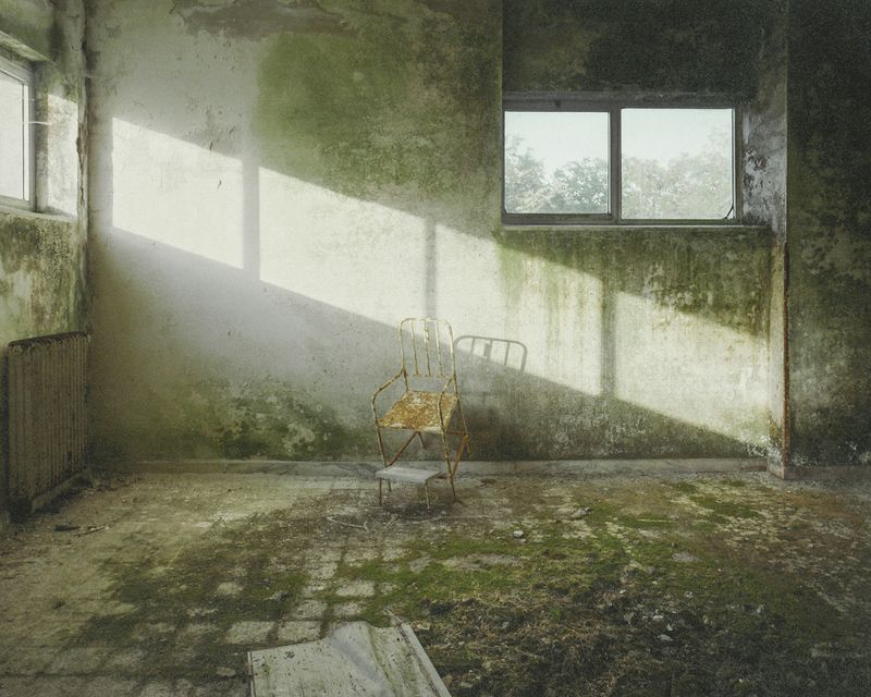 © Alessio Cabras - Image from the Eucalyptus photography project