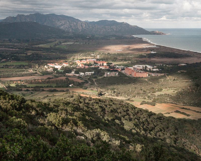 © Alessio Cabras - Image from the Eucalyptus photography project