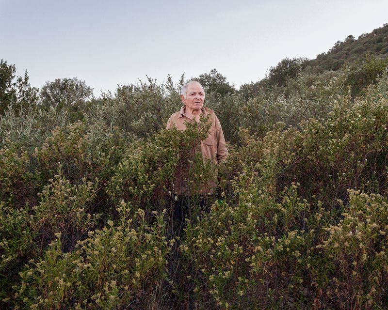 © Alessio Cabras - Image from the Eucalyptus photography project