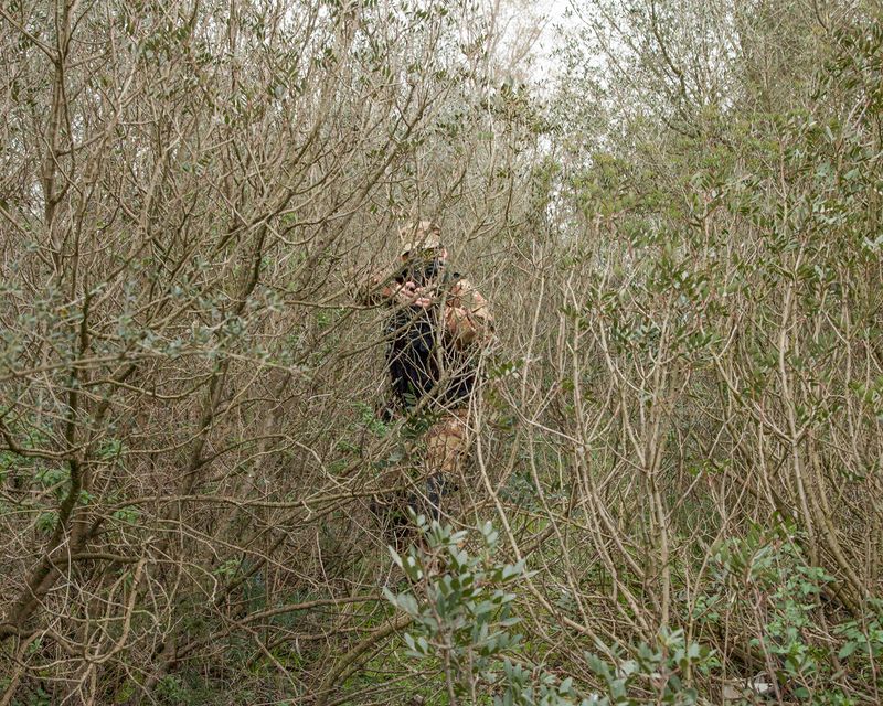 © Alessio Cabras - Image from the Eucalyptus photography project