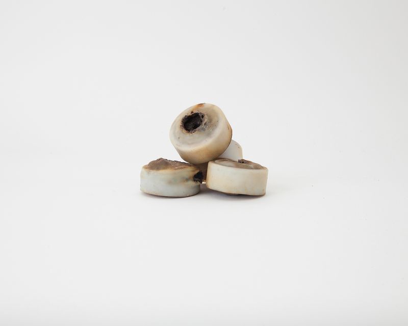 © Alessio Cabras - Image from the Eucalyptus photography project