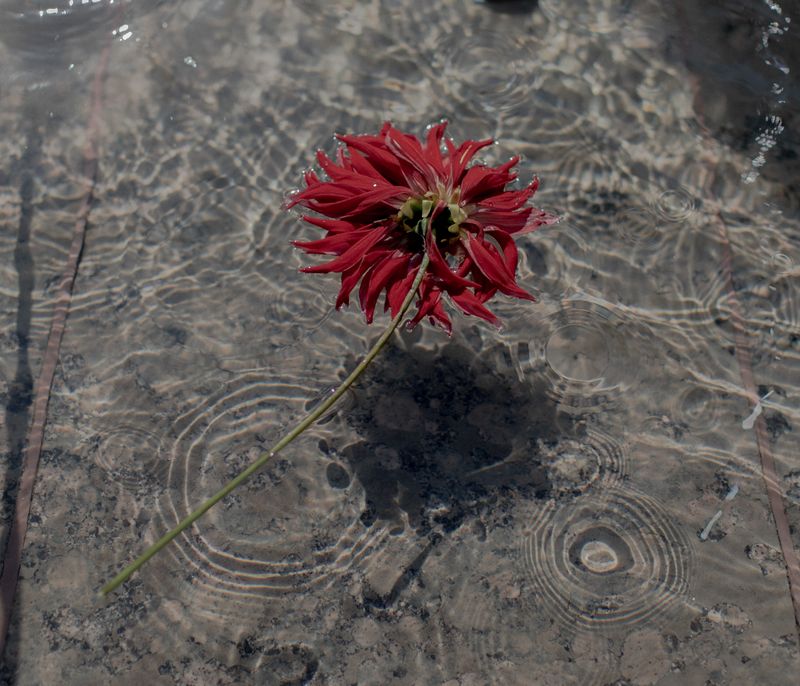 © Jędrzej Nowicki - Image from the The Scars photography project