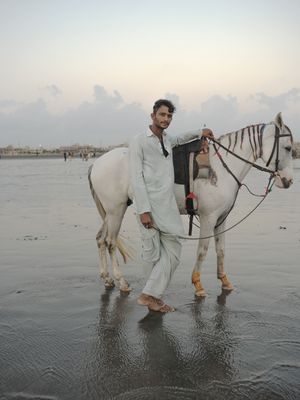 The Arabian Sea: Until Their Bodies Glowed