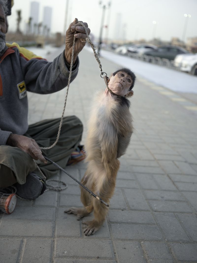 © Jo Ann Walters - vendor disciplining/choking monkey, untitled from series The Arabian Sea:Until Their Bodies Glowed, 2023
