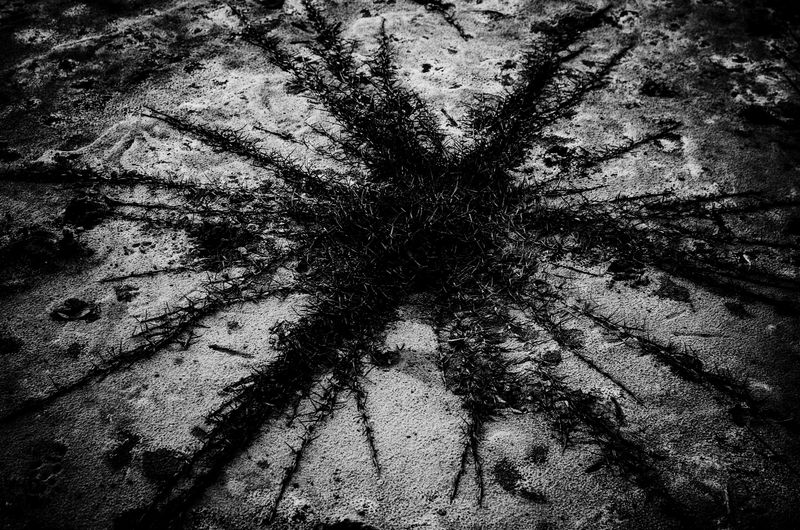 © Marcos Mendez - Image from the Proyecto Lagunas photography project