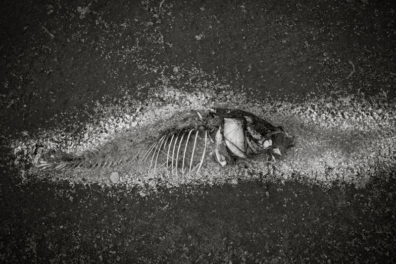 © Marcos Mendez - Image from the Proyecto Lagunas photography project