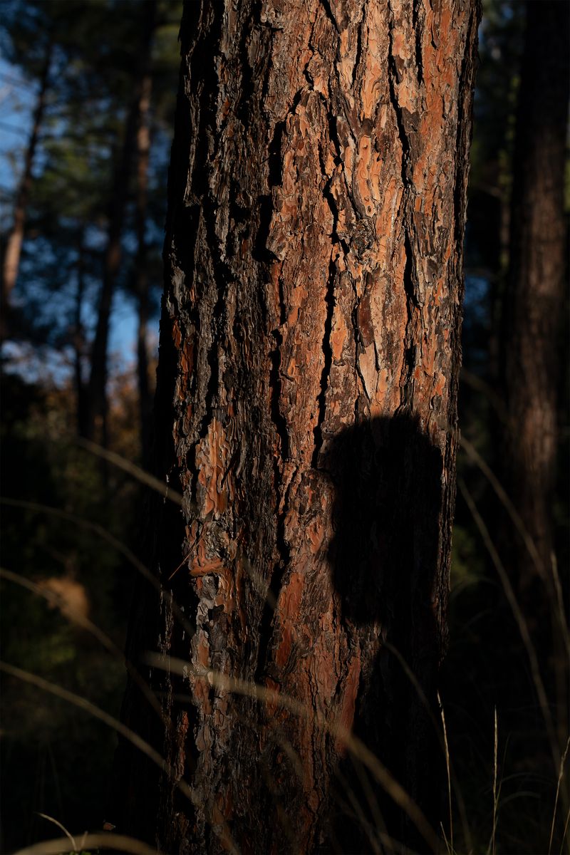 © Alexandros Vekiaris - Image from the Internal Sunlight photography project