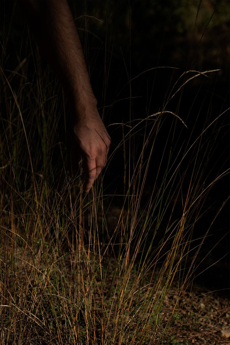 © Alexandros Vekiaris - Image from the Internal Sunlight photography project