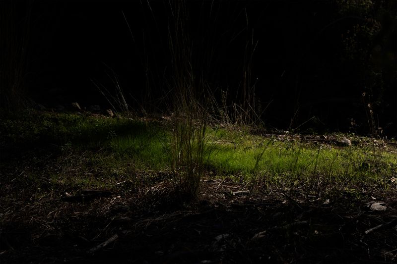 © Alexandros Vekiaris - Image from the Internal Sunlight photography project