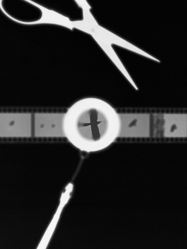 © Martin Ruckert - Image from the Baryt 2.57 photography project