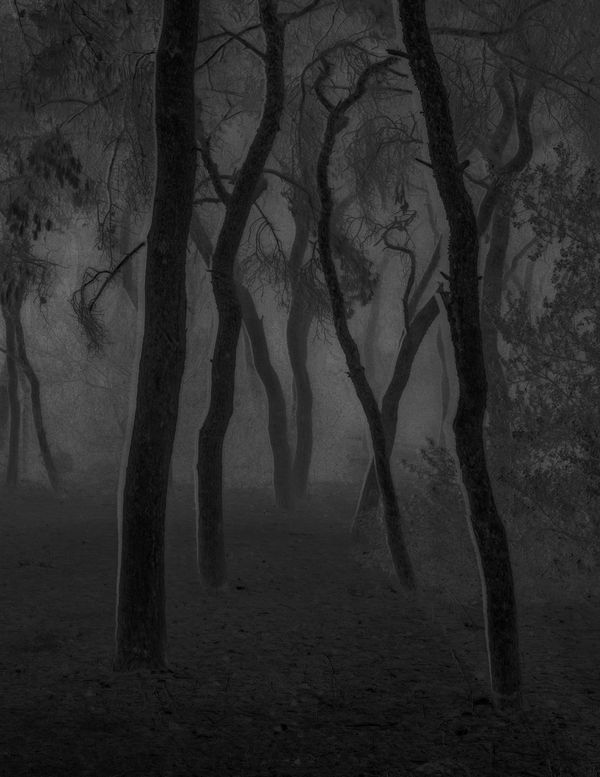 © Joselito Verschaeve - Image from the If I Call Stones Blue It Is Because Blue Is The Precise Word photography project