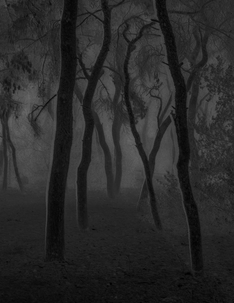 © Joselito Verschaeve - Image from the If I Call Stones Blue It Is Because Blue Is The Precise Word photography project