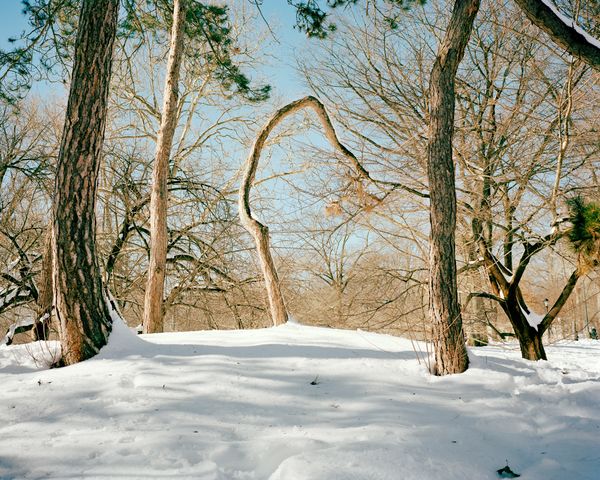 © Scott Rossi - Image from the Common Place photography project