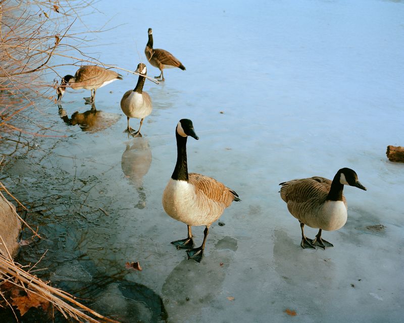 © Scott Rossi - Image from the Common Place photography project