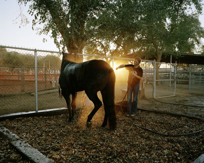 © Scott Rossi - A horse is washed off after the Brawley Cattle Call Rodeo. Brawley, CA. 2024.