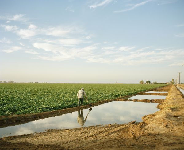 © Scott Rossi - Jorge Martinez, 74, a farm worker in Holtville. 2023.