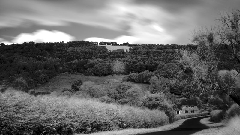 © Katrina Whitehead - Image from the Exquisite Corpse photography project