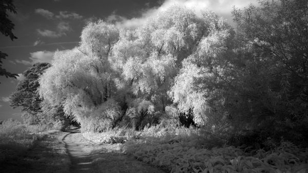 © Katrina Whitehead - Image from the Exquisite Corpse photography project