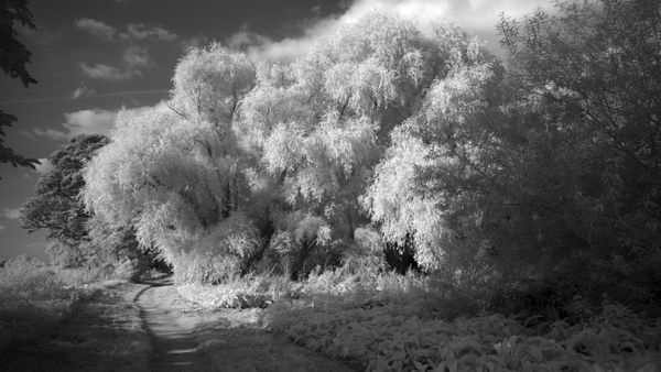 © Katrina Whitehead - Image from the Exquisite Corpse photography project