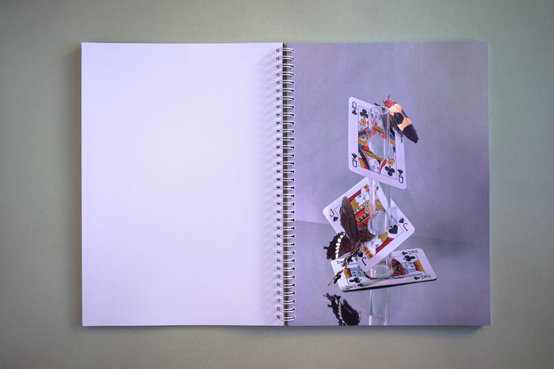 Image from a project on PhMuseum