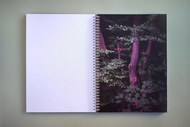 Image from a project on PhMuseum