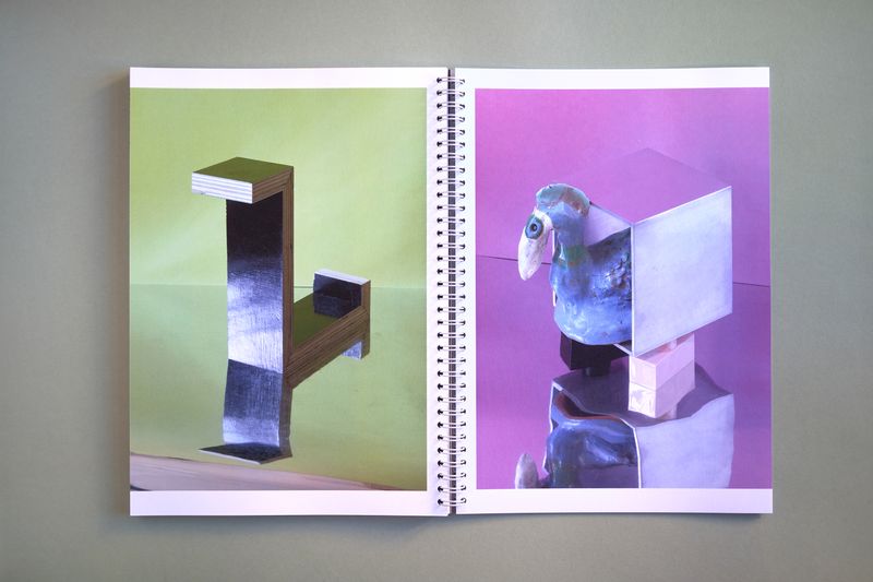 Deconstructed Bird of Paradise