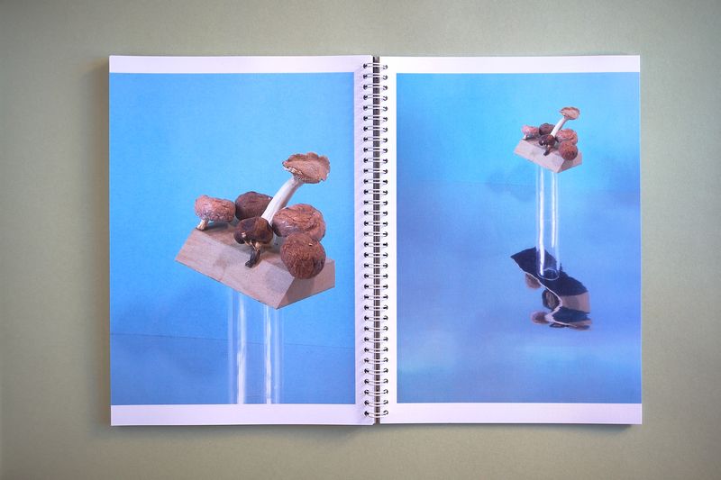 Image from a project on PhMuseum