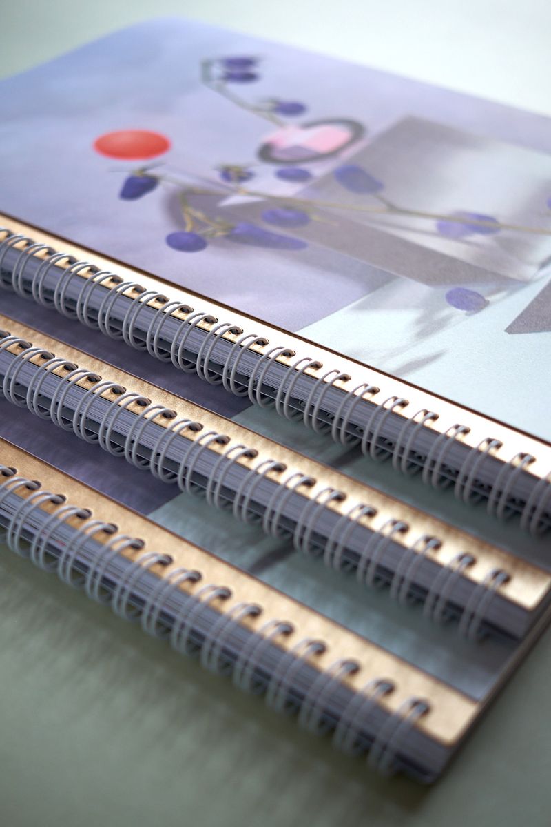 Image from a project on PhMuseum