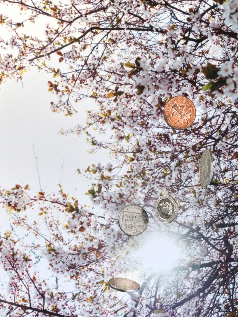 © Jens Masmann - Image from the The Harvest photography project