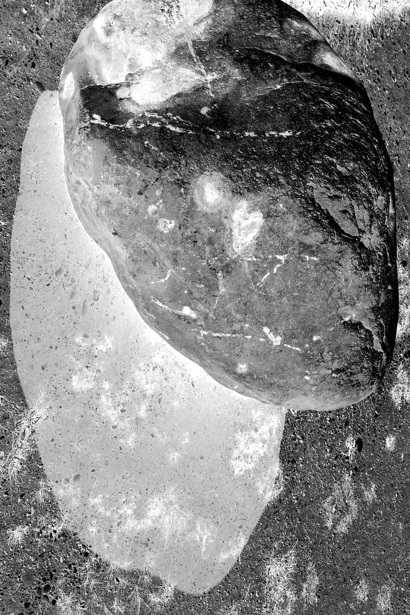 © Jens Masmann - Specimen A