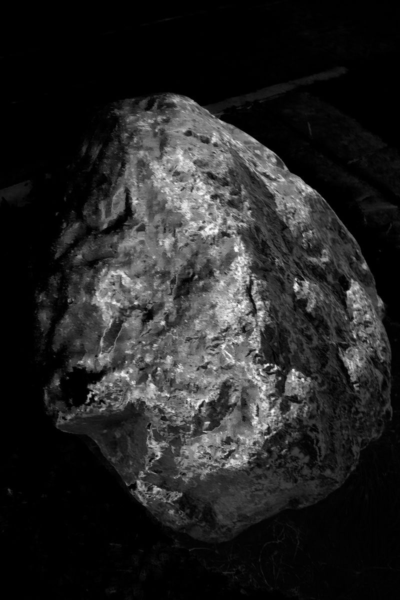 © Jens Masmann - Specimen B