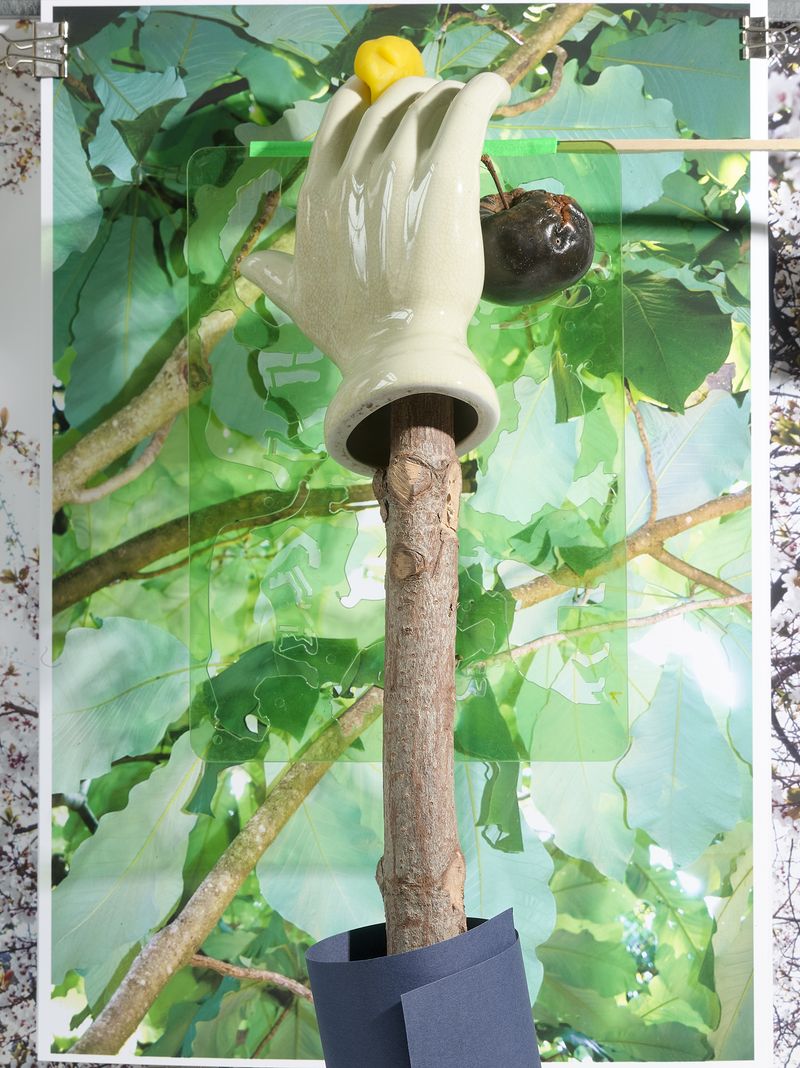 © Jens Masmann - Cherry-Picking from the Tree of Knowledge