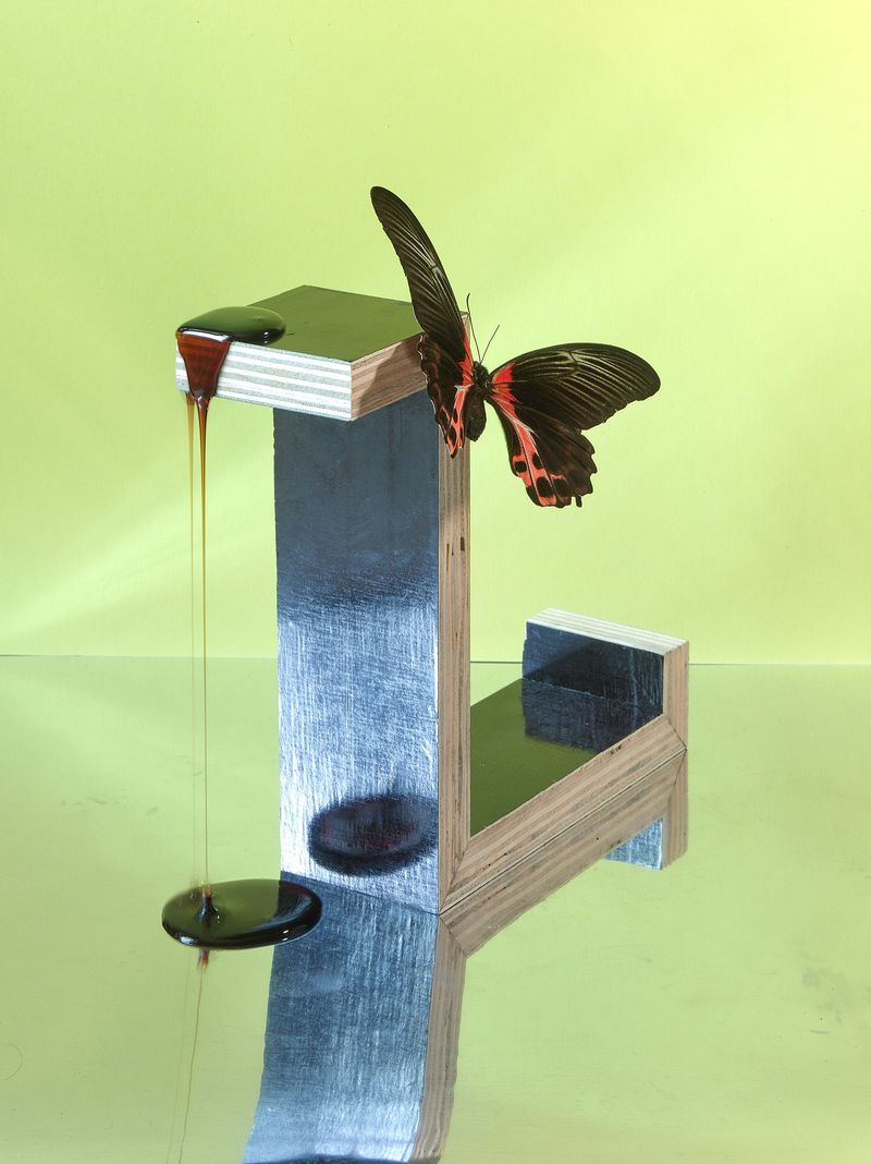 © Jens Masmann - Drop of Nectar