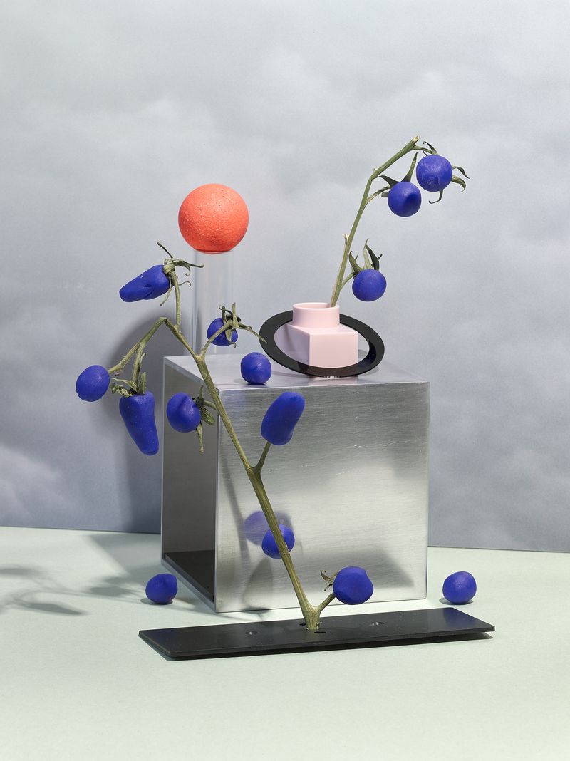 © Jens Masmann - Vineyard